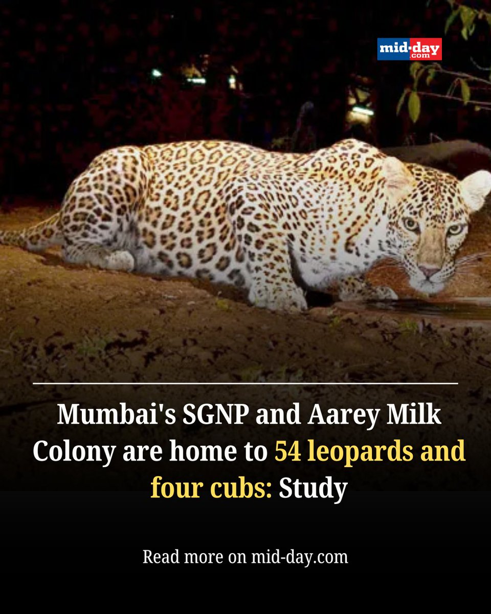 Mid Day tweet media