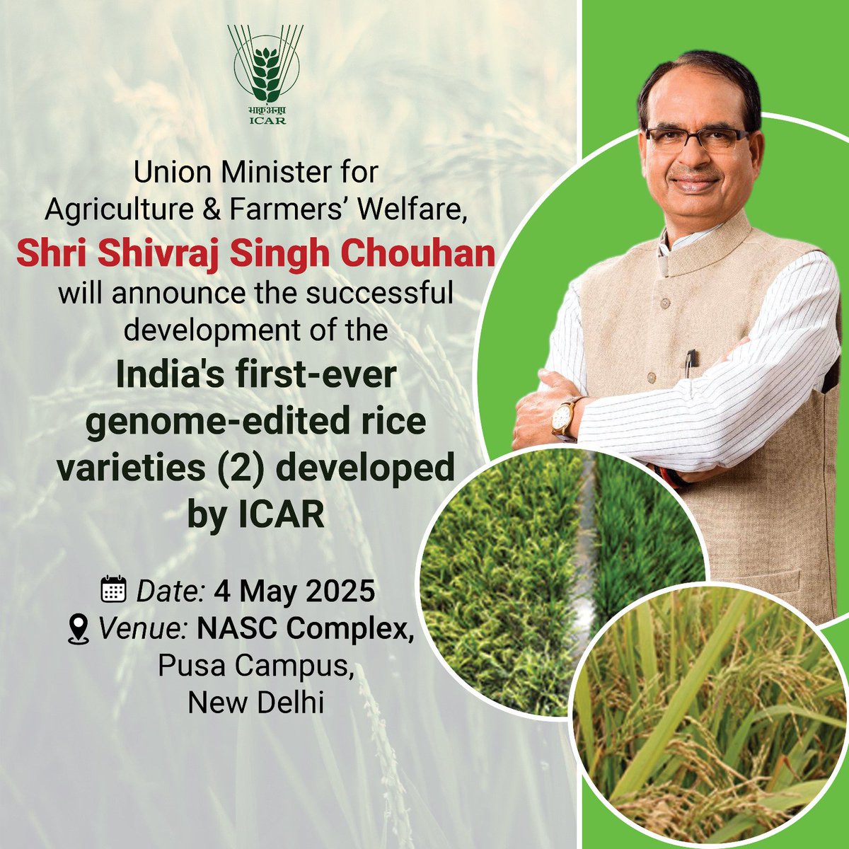 Indian Council of Agricultural Research. (@icarindia) on Twitter photo Union Minister for Agriculture & Farmers’ Welfare, Shri Shivraj Singh Chouhan will announce the successful development of the
India's first-ever genome-edited rice varieties (2) developed by #ICAR <a href="/PMOIndia/">PMO India</a>
<a href="/ChouhanShivraj/">Shivraj Singh Chouhan</a> <a href="/AgriGoI/">Agriculture INDIA</a> <a href="/DDKisanChannel/">Doordarshan Kisan - दूरदर्शन किसान</a> <a href="/PIB_India/">PIB India</a> <a href="/mygovindia/">MyGovIndia</a> Union Minister for Agriculture & Farmers’ Welfare, Shri Shivraj Singh Chouhan will announce the successful development of the
India's first-ever genome-edited rice varieties (2) developed by #ICAR <a href="/PMOIndia/">PMO India</a>
<a href="/ChouhanShivraj/">Shivraj Singh Chouhan</a> <a href="/AgriGoI/">Agriculture INDIA</a> <a href="/DDKisanChannel/">Doordarshan Kisan - दूरदर्शन किसान</a> <a href="/PIB_India/">PIB India</a> <a href="/mygovindia/">MyGovIndia</a>