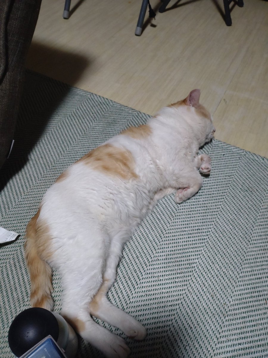 なんか落ちてる(笑)