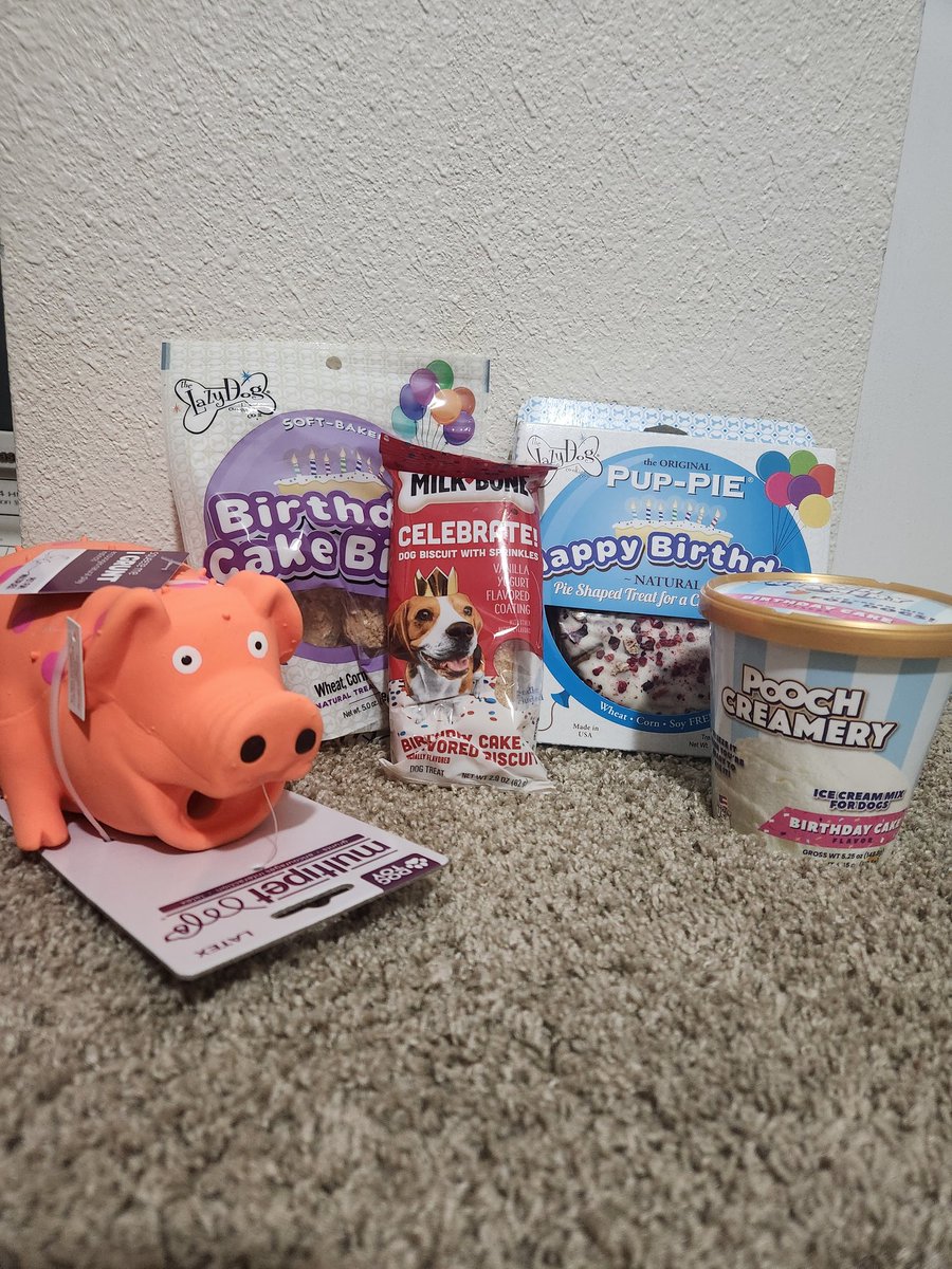 RotoDog 💙 🇺🇦 💛 tweet media