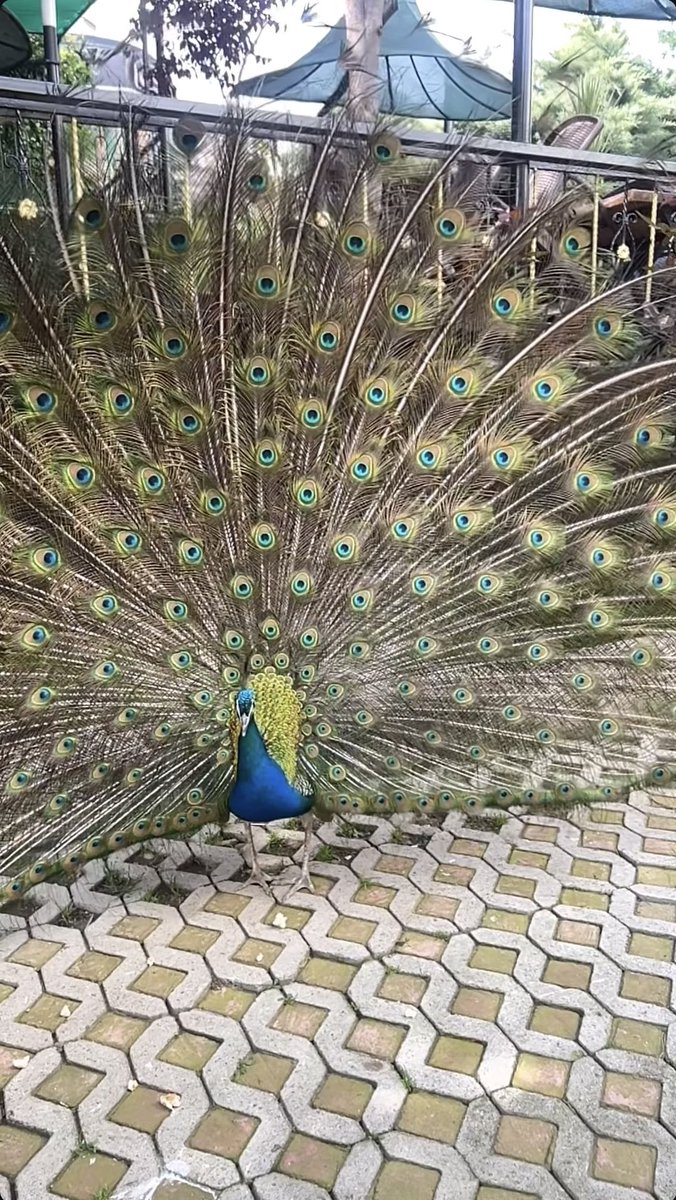 Sıradan şeylere inat...
Kendi ıslığını çal geç hayatın içinden.
Yaşamışlığın olsun...
Değil midir ki, zaten;
Bir Neşet Ertaş türküsüdür yaşamak...
"Yalandan yüzüne gülen dünyada..."
Farkın olsun...

İyi akşamlar ☘️