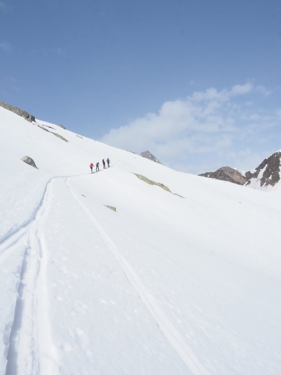 María Comella tweet media