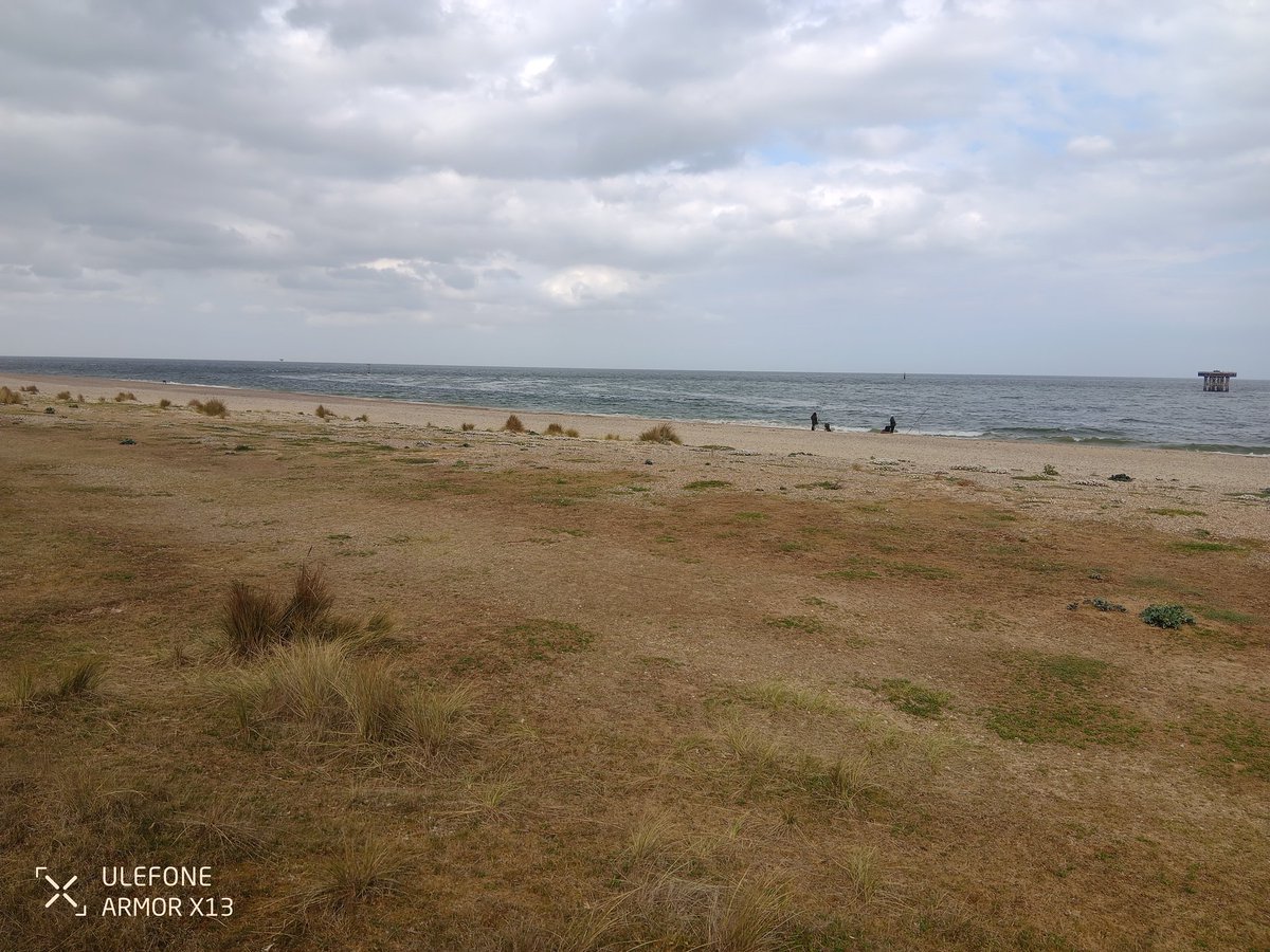 Wymondham High DofE Award (@dofewymhigh) on Twitter photo A slight change in the weather and the wind has picked up for our Yr 9 Bronze groups compared to this morning. But they are all marching on and will start arriving back at camp soon. They have been brilliant. <a href="/WyHighAcademy/">Wymondham High Academy</a> A slight change in the weather and the wind has picked up for our Yr 9 Bronze groups compared to this morning. But they are all marching on and will start arriving back at camp soon. They have been brilliant. <a href="/WyHighAcademy/">Wymondham High Academy</a>