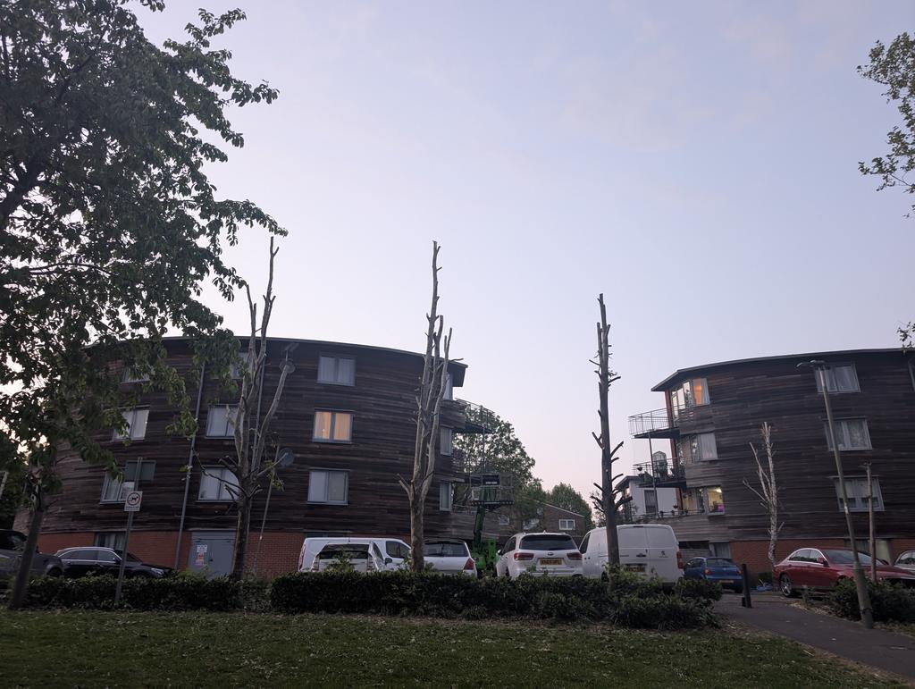 Fiona Cameron 💙 🇺🇦 (@cameron_fiona) on Twitter photo <a href="/DavidPintoD/">David Pinto-Duschinsky MP</a> Take a walk by Adastral on Lanacre and see why BLR cut trees badly? Does #NottingHillGenesis condone this? <a href="/BarnetCouncil/">Barnet Council</a>
<a href="/BrokenBarnet/">Theresa Musgrove</a> <a href="/Heybournepark/">Friends of Heybourne Park</a> <a href="/DavidPintoD/">David Pinto-Duschinsky MP</a> Take a walk by Adastral on Lanacre and see why BLR cut trees badly? Does #NottingHillGenesis condone this? <a href="/BarnetCouncil/">Barnet Council</a>
<a href="/BrokenBarnet/">Theresa Musgrove</a> <a href="/Heybournepark/">Friends of Heybourne Park</a>