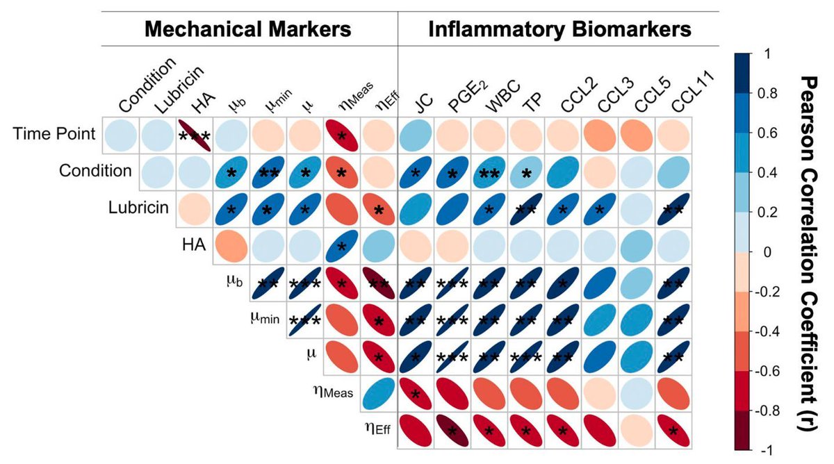Bethany Andoko (she/they) (@bethanyandoko) on Twitter photo Recent findings in <a href="/JOrthopRes/">Journal of Orthopaedic Research®</a> show loss of effective lubricating viscosity is the primary mechanical marker of synovial inflammation in equine OA, linked to inflammation biochemical markers like white blood cell count & PGE2 buff.ly/gwOPVsK #ORSxDerby #ORSSMC <a href="/ORSsociety/">Orthopaedic Research Society</a> Recent findings in <a href="/JOrthopRes/">Journal of Orthopaedic Research®</a> show loss of effective lubricating viscosity is the primary mechanical marker of synovial inflammation in equine OA, linked to inflammation biochemical markers like white blood cell count & PGE2 buff.ly/gwOPVsK #ORSxDerby #ORSSMC <a href="/ORSsociety/">Orthopaedic Research Society</a>