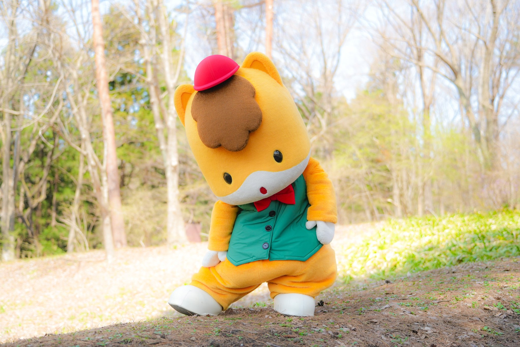 ☆紅葉いっぱい♡秋シマシマ猫ちゃんイヤリング☆