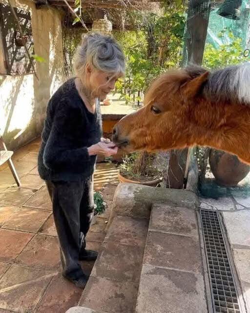 Brigitte Bardot, 90 years old, still protects animals