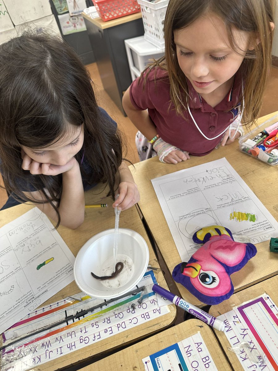 Holley Townsend (@tbk8townsend) on Twitter photo Living and Non-Living Things! We investigated gummy worms and earthworms! ๐ชฑ <a href="/TurnerBartelsK8/">Turner/Bartels K8</a> <a href="/WeAreHAEST/">HAEST</a> <a href="/HCPSElemScience/">HCPSElemScience</a> Living and Non-Living Things! We investigated gummy worms and earthworms! ๐ชฑ <a href="/TurnerBartelsK8/">Turner/Bartels K8</a> <a href="/WeAreHAEST/">HAEST</a> <a href="/HCPSElemScience/">HCPSElemScience</a>