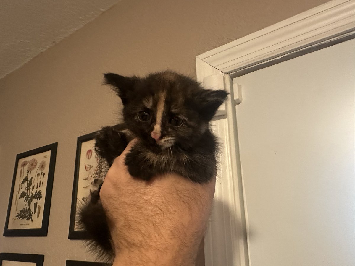 Brad Henderson tweet media