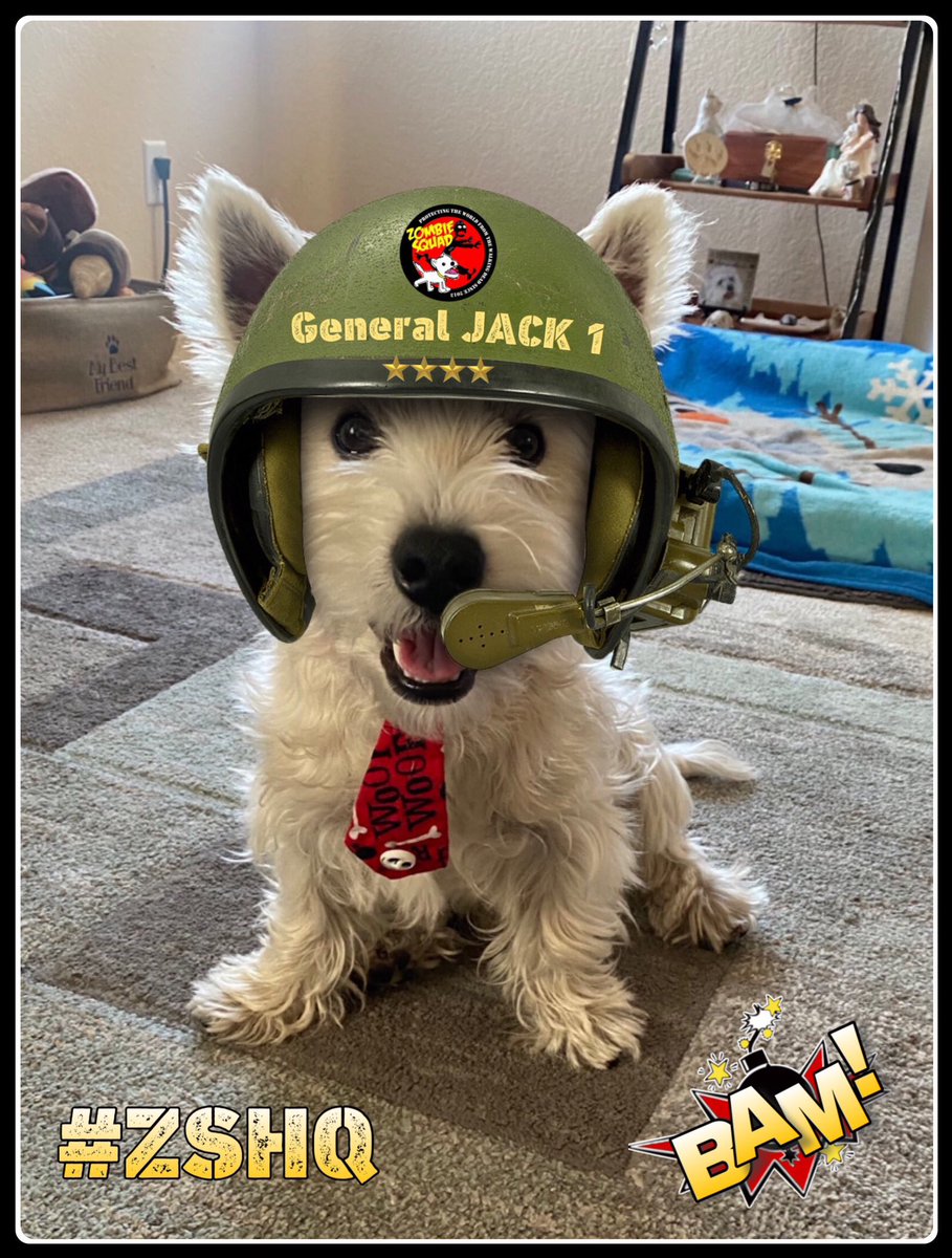 Billy, nephew of FF Winston ๐ son of Bruv ๐ (@bravewinston) on Twitter photo And finally on founders Day it is my pleasure to announce that training is complete for Jack1 <a href="/ZeroRice1012/">Jack, Zeroโs Bruv ๐๐พ๐ฉตโฅ๏ธ ๐๐๐ ๐งก ๐</a> and he is, from today, a Big Boy General ! ๐ฅ (Bonks still needs some work though) Big Zee is looking down and smiling! Congrats pal ๐ซก #ZSHQ And finally on founders Day it is my pleasure to announce that training is complete for Jack1 <a href="/ZeroRice1012/">Jack, Zeroโs Bruv ๐๐พ๐ฉตโฅ๏ธ ๐๐๐ ๐งก ๐</a> and he is, from today, a Big Boy General ! ๐ฅ (Bonks still needs some work though) Big Zee is looking down and smiling! Congrats pal ๐ซก #ZSHQ