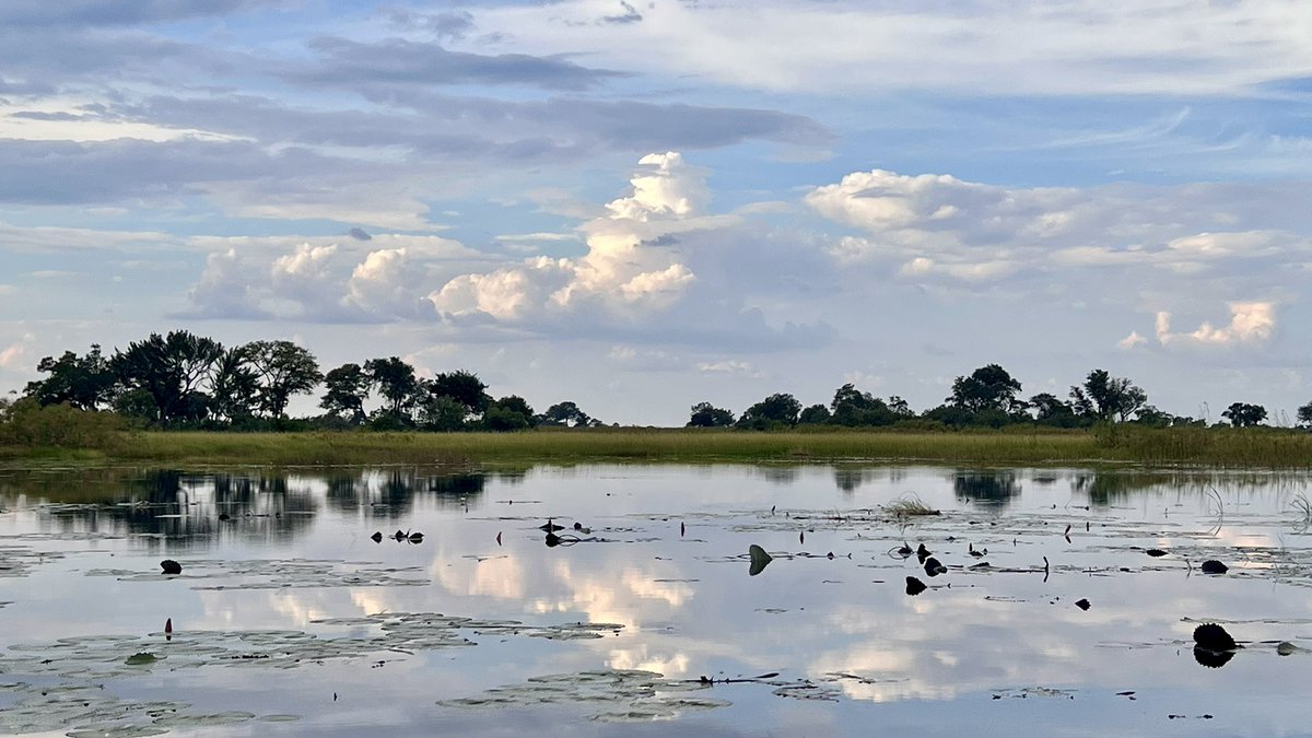 Botswana you’re something special! 
#botswana #africa #travel