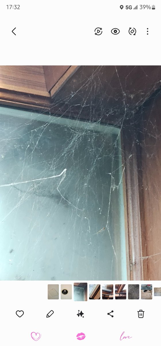 Marilyn D’souza tweet media