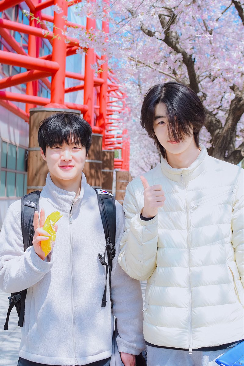 𝙗𝙖𝙧𝙖 tweet media