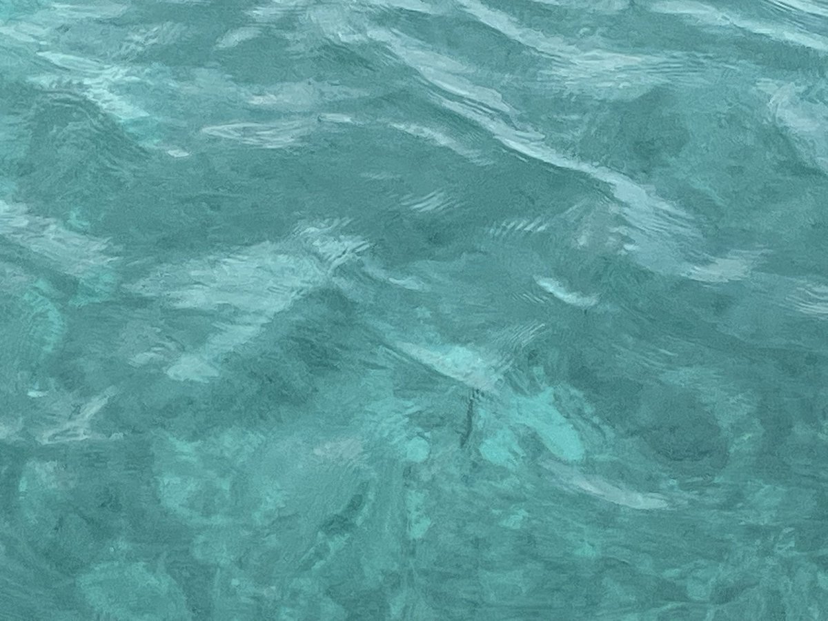 Caprera 
Oasi di bellezza
#Sardegna