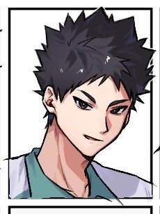 こういう岩ちゃそもかいてた