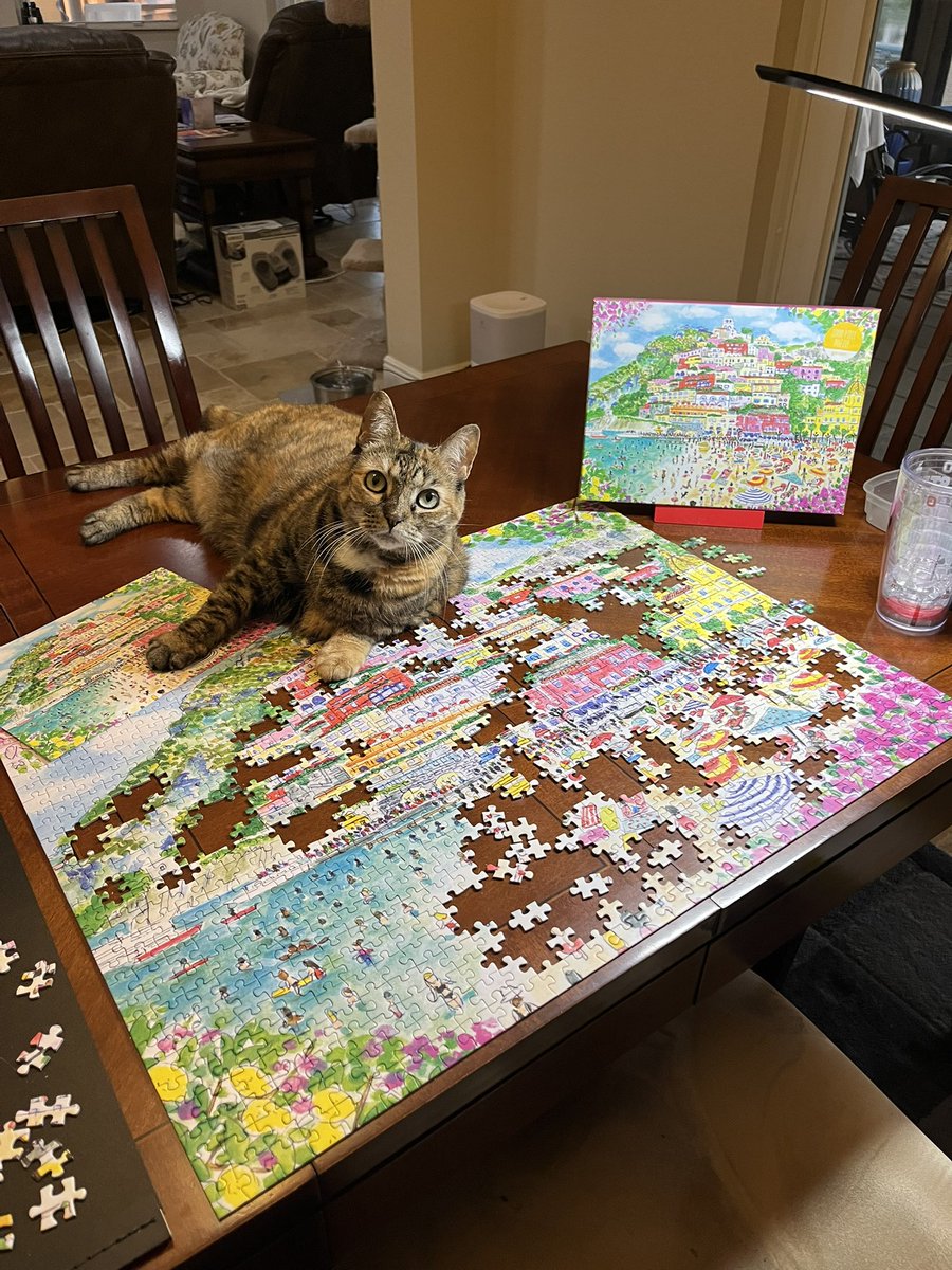 Fendi helps with puzzles