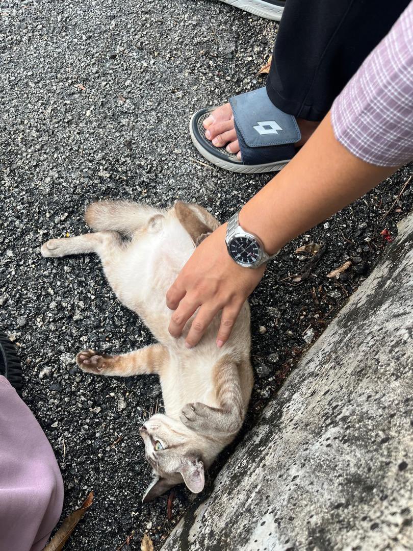 Forgotlah's tweet photo. ⚠️ Lost Item ⚠️

Hi everyone,
 To the kind person who may have found my watch, which I accidentally left on the massage chair at Level 2, MyTown, I truly hope this post finds you.

The watch may not be worth much, but it holds a sentimental value that is very important - https://t.co/FTkFNR3YM7