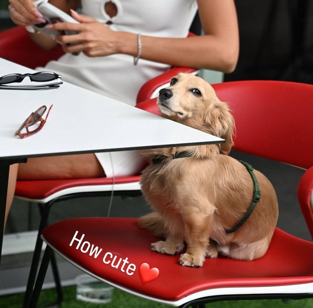 leclercsletters's tweet photo. so precious

📷: f1sutton https://t.co/ixMn2wq0KK