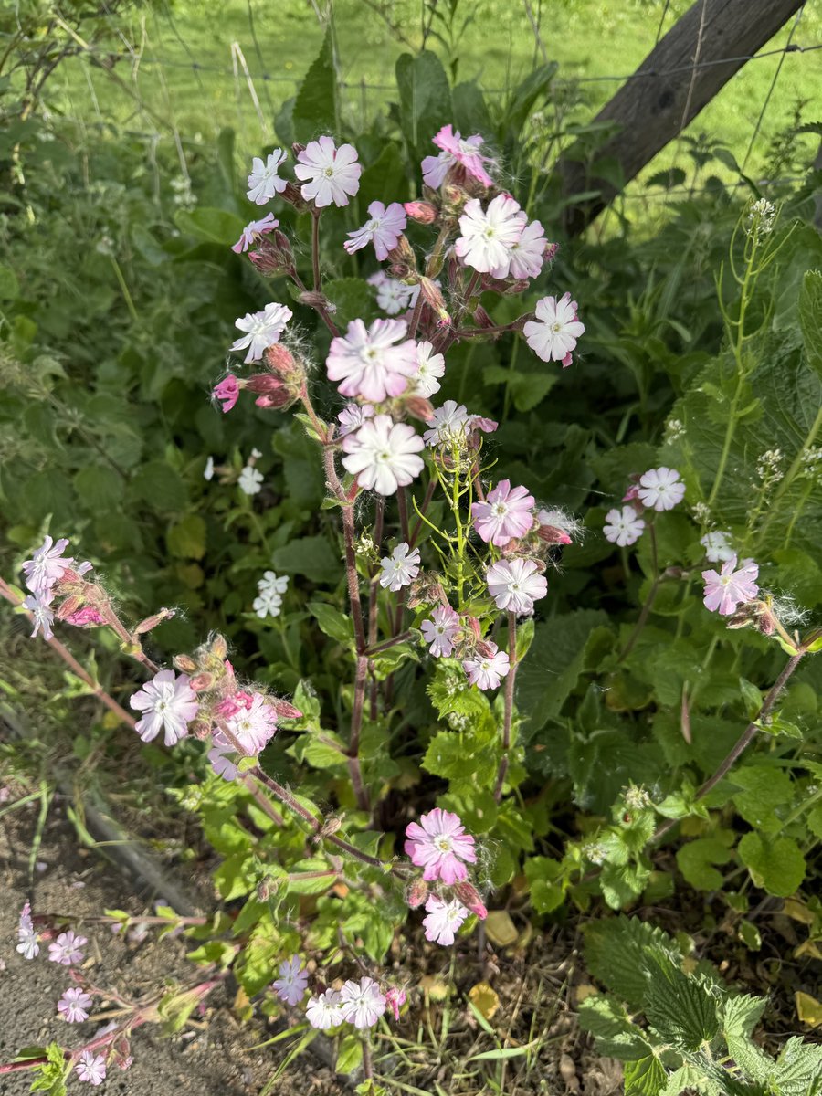 Stuart D tweet media