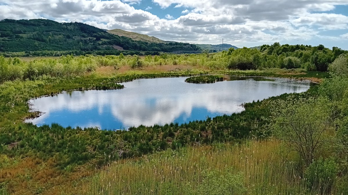 A walk round Gogerddan wood near Aberystwyth, then a trip to the Dyfi osprey centre. Thoroughly good way to spend a sunny day!