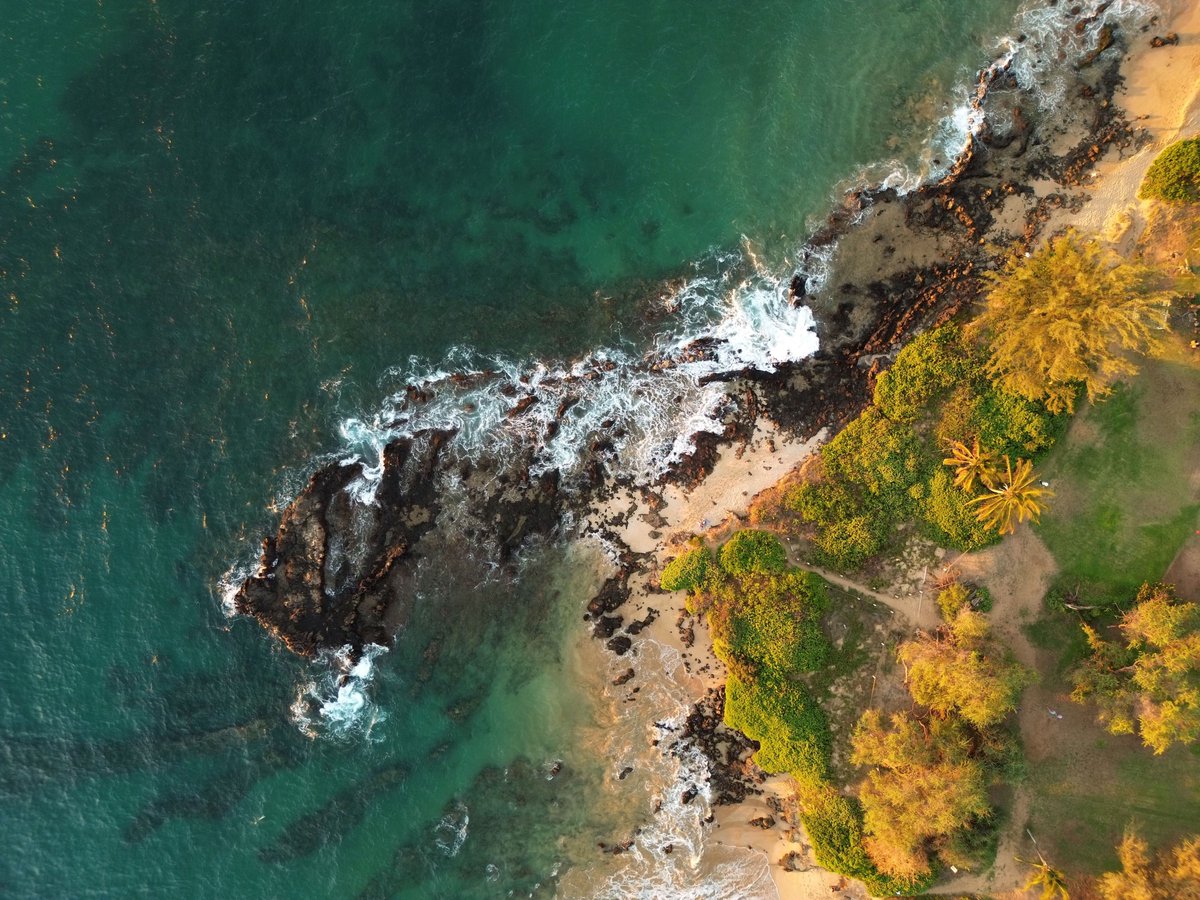 Center for Geospatial Solutions tweet media