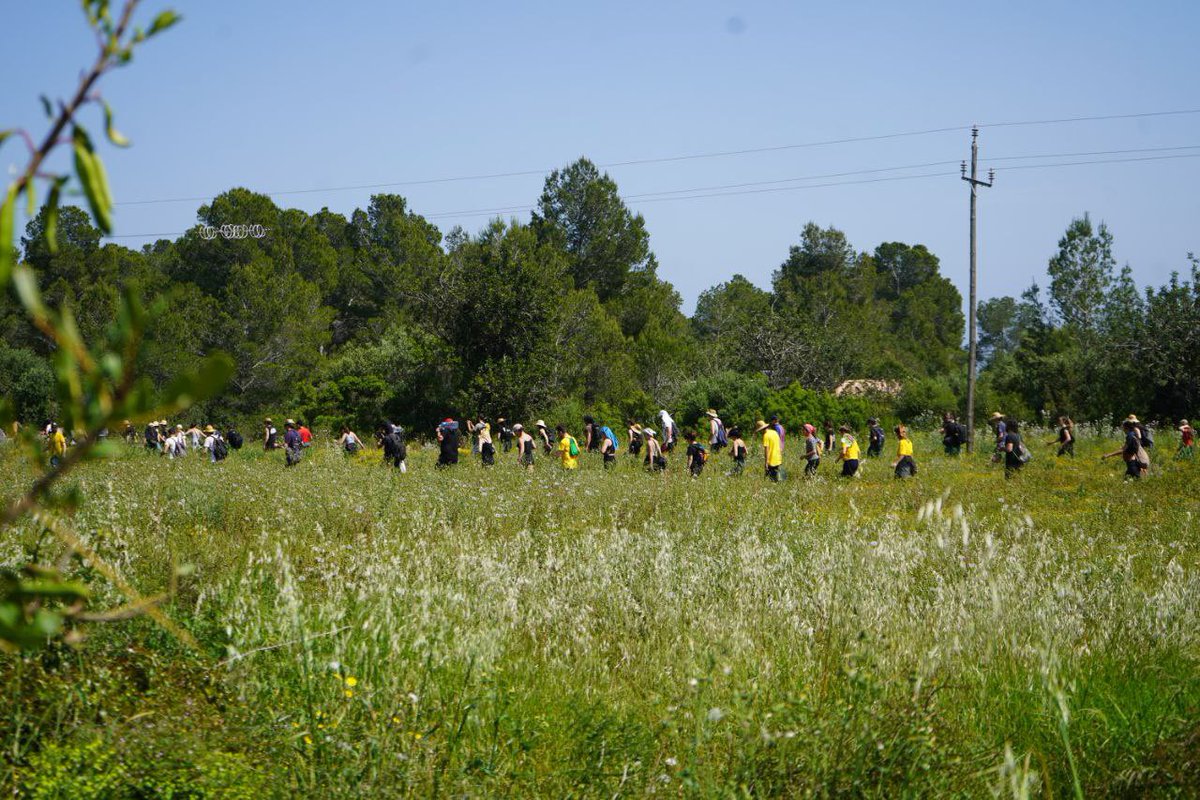 Endavant OSAN tweet media