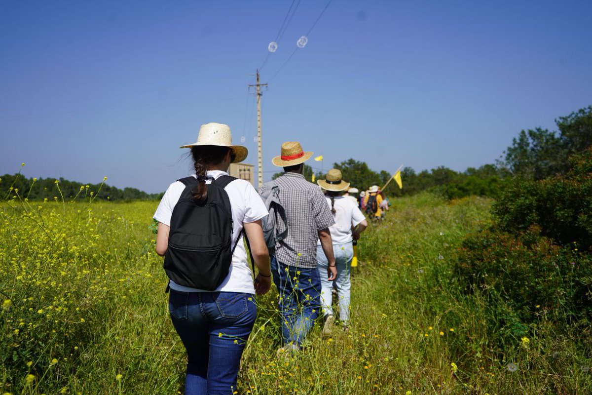 Endavant OSAN tweet media