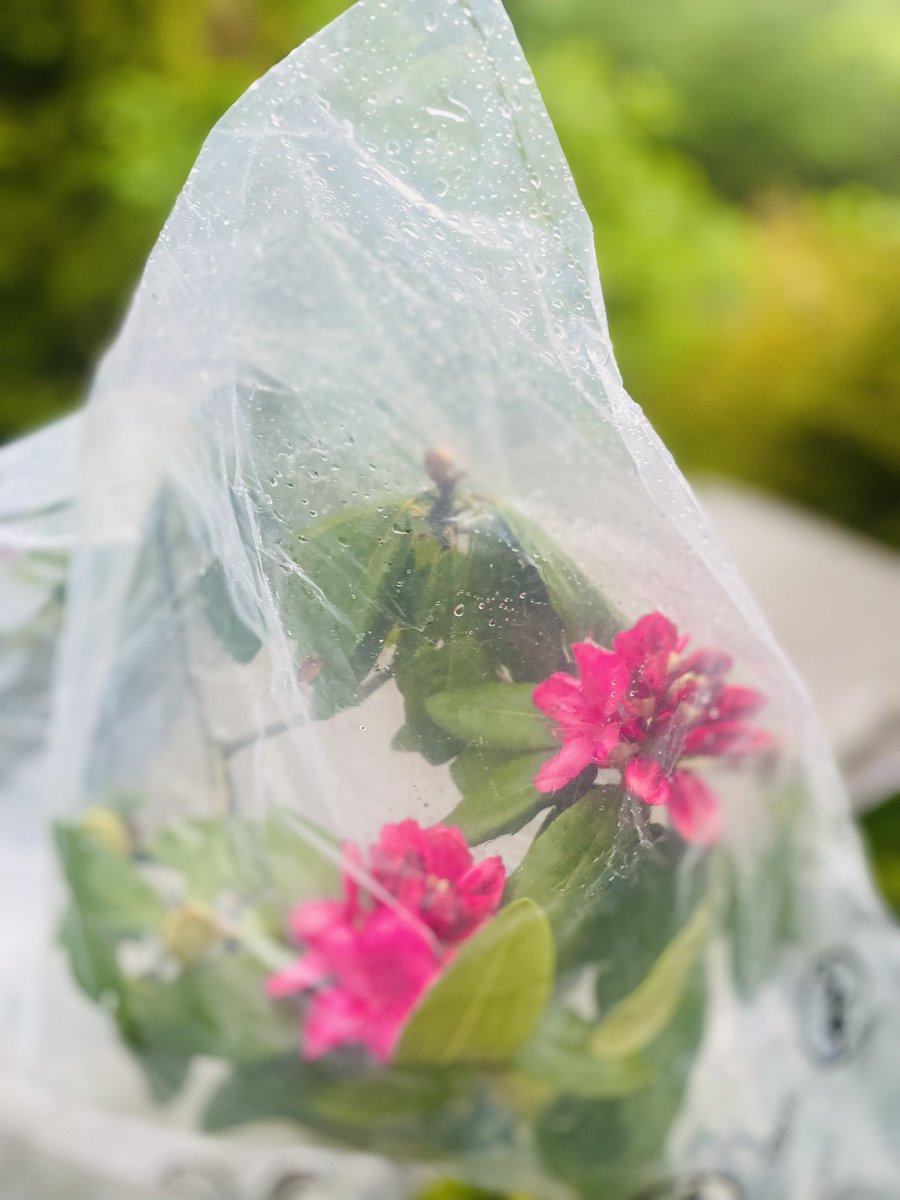 Herrliches #Kegelbahn #Wetter im #Wienerwald 🎳⛈️☔️