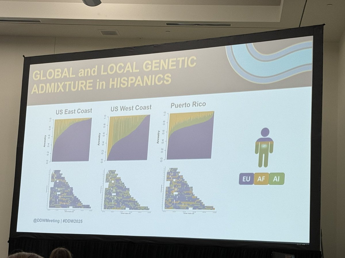 Dr Dermot McGovern (@doc_ibd) on Twitter photo Next up IBD genetics session <a href="/DDWMeeting/">Digestive Disease Week</a> #DDW2025 Ashley Beecham presenting novel findings through local ancestry approaches in our Hispanic studies. NOD2, HLA implicated & novel finding implicating RIPK2 pathway in complicated CD on African ancestry. <a href="/IBDCedarsSinai/">IBD at Cedars-Sinai</a> <a href="/ibddocmaria/">Maria T. Abreu</a> Next up IBD genetics session <a href="/DDWMeeting/">Digestive Disease Week</a> #DDW2025 Ashley Beecham presenting novel findings through local ancestry approaches in our Hispanic studies. NOD2, HLA implicated & novel finding implicating RIPK2 pathway in complicated CD on African ancestry. <a href="/IBDCedarsSinai/">IBD at Cedars-Sinai</a> <a href="/ibddocmaria/">Maria T. Abreu</a>