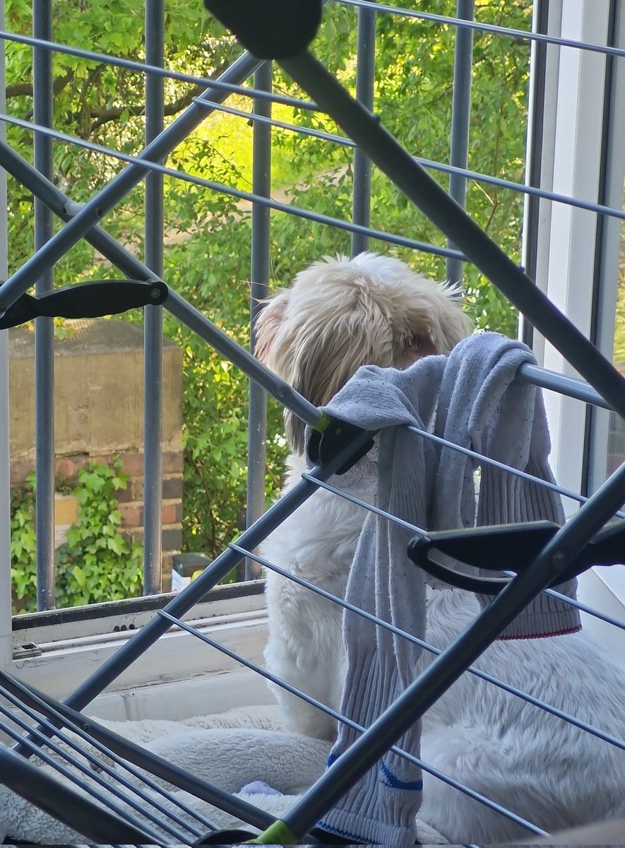 Happy Saturday 🥰 at the door for little as it cooler today! 🥰 mind the socks!