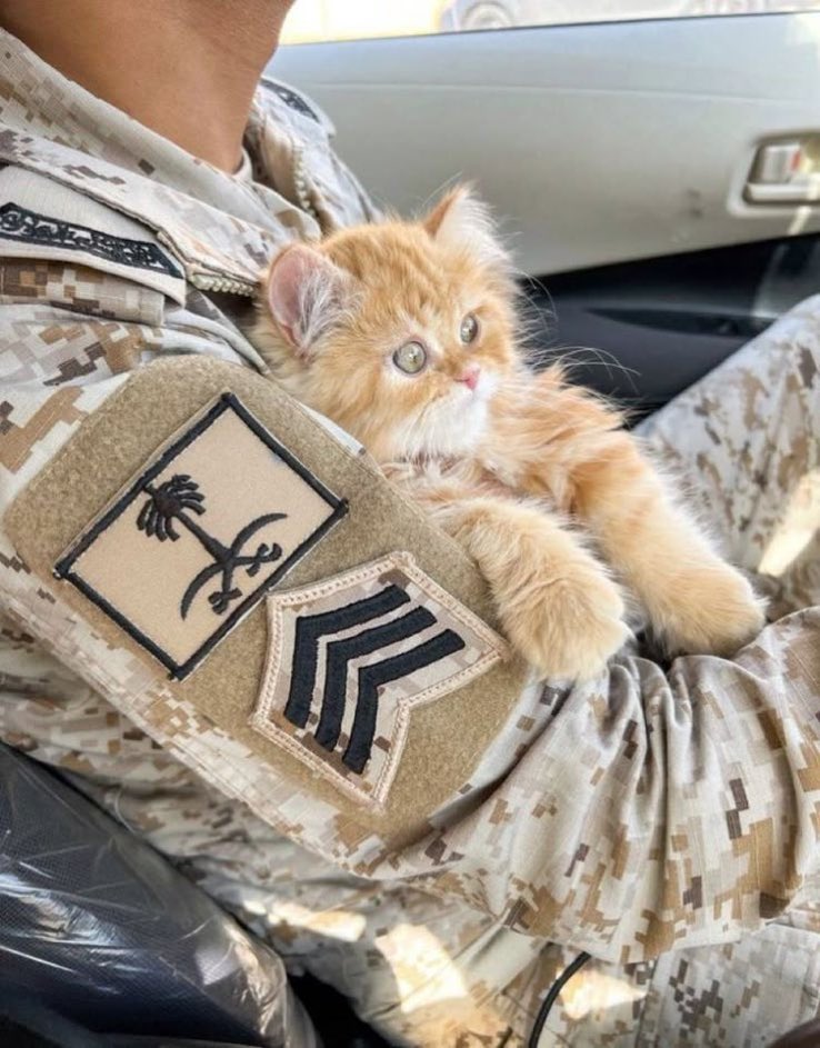 الإنسانية هي أن تكون قوياً، وتحمل قلباً رحيماً.
الإنسانية=القوة+الرحمة