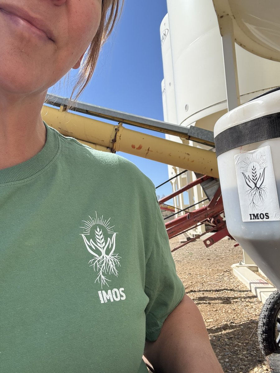 Its a perfect day to bioprime our heritage wheat seed with Indigenous Micro Organisms(#IMOS)