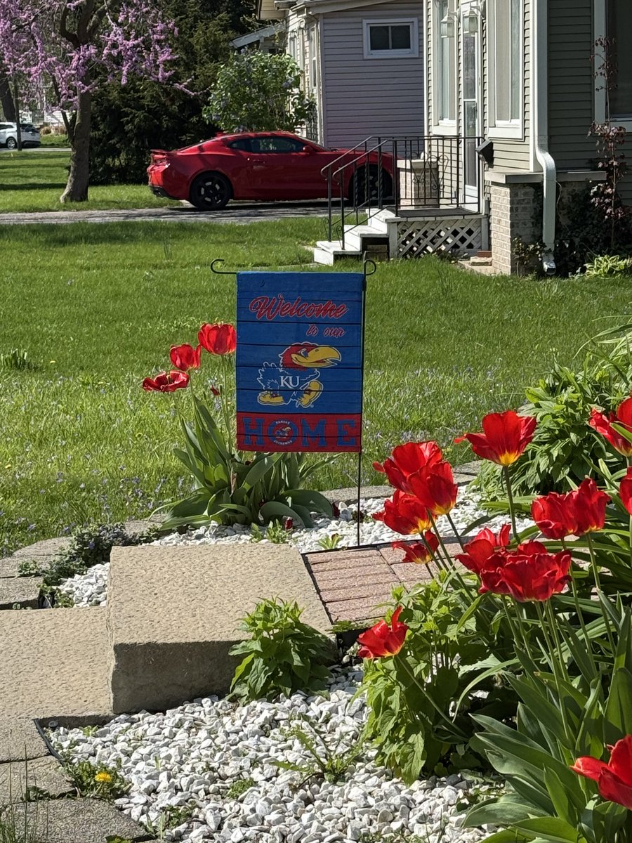 Jay Will 🇵🇷🇵🇷💪🏽💪🏽 (@jaywill33) on Twitter photo Welcome to Rock Chalk country!
The flowers are blooming and the KU pride is shining bright! New chapter. New home. Same hustle. <a href="/KU_Football/">Kansas Football</a> <a href="/CoachLeipold/">Lance Leipold</a> <a href="/CoachAgpalsa/">Daryl Agpalsa</a> <a href="/Enriquecruzz1/">Enrique Cruz Jr</a> #RockChalk #JayhawkNation #NewHomeVibes #KUFamily #BigManEnergy Welcome to Rock Chalk country!
The flowers are blooming and the KU pride is shining bright! New chapter. New home. Same hustle. <a href="/KU_Football/">Kansas Football</a> <a href="/CoachLeipold/">Lance Leipold</a> <a href="/CoachAgpalsa/">Daryl Agpalsa</a> <a href="/Enriquecruzz1/">Enrique Cruz Jr</a> #RockChalk #JayhawkNation #NewHomeVibes #KUFamily #BigManEnergy