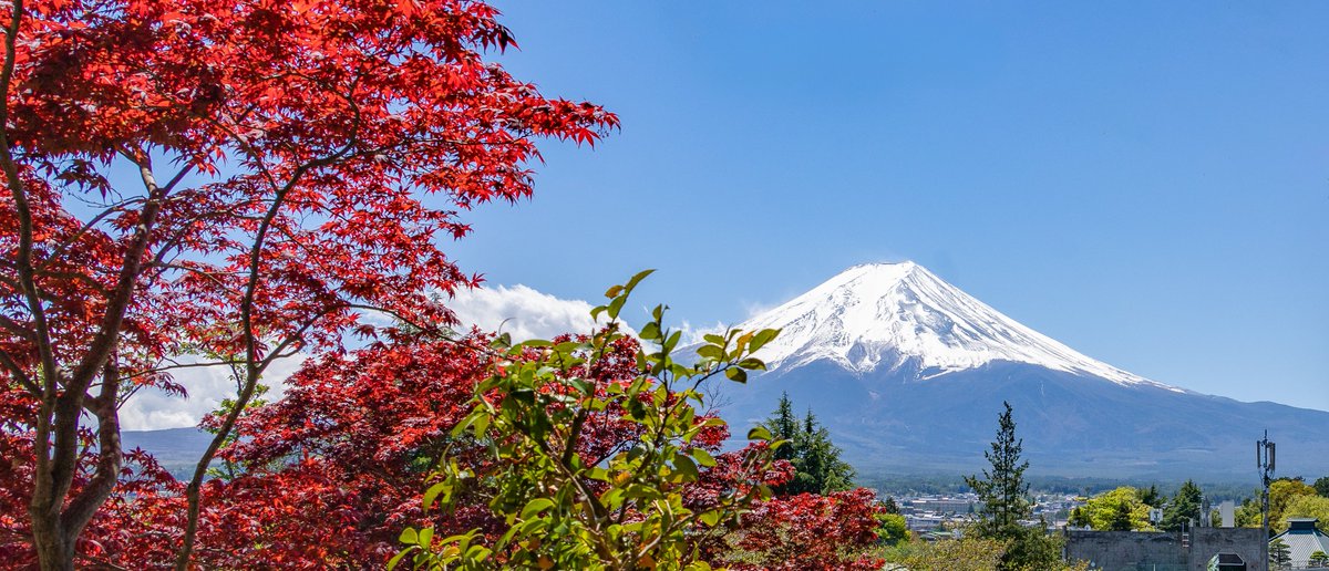 _harmoid_'s tweet photo. Mt. Fuji 🗻
#fujisan 
#mtfuji https://t.co/yTvXqkLfyi