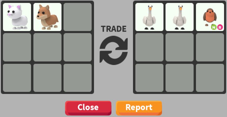 ✧ -°. Rii tweet media