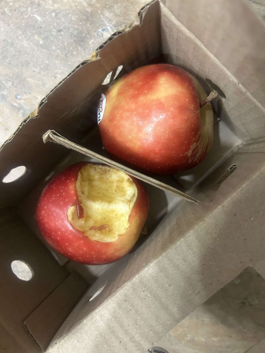 PALAK_PN's tweet photo. Ordered apple and pomegranate combo for a puja Prasad and this is what I received @SwiggyCares @SwiggyInstamart it’s not about refund but you are losing trust. Unacceptable. https://t.co/TgCVAUe0BL