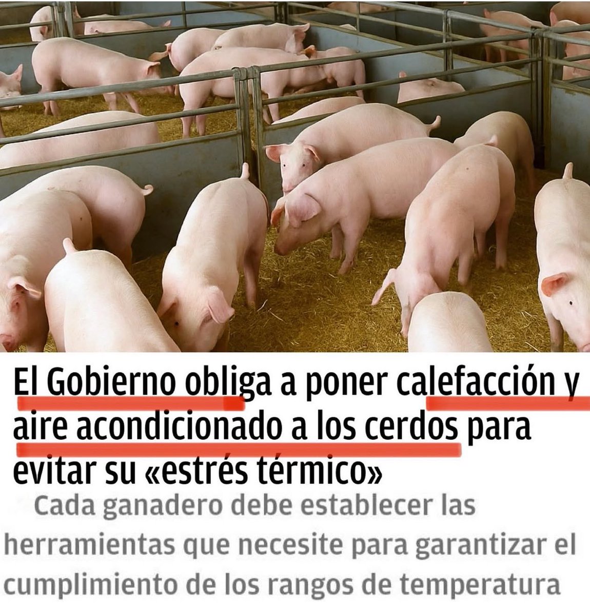 Yo ya no sé si reír o llorar, pero lo de este Gobierno es un constante “sujétame el cubata”.