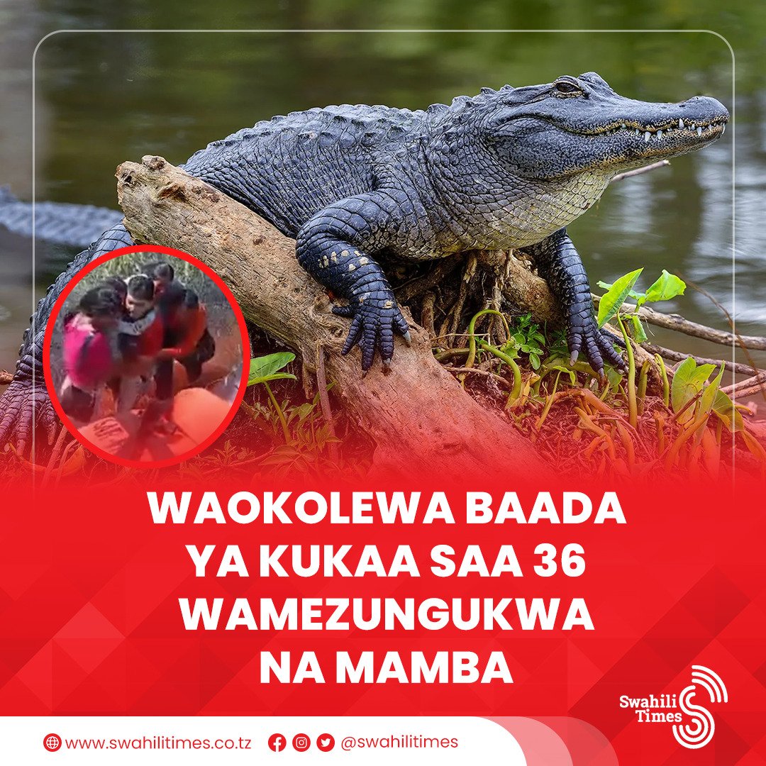 Watu watano wameokolewa baada ya kukaa kwa saa 36 wakiwa wamezungukwa na mamba, kufuatia hitilafu ya ndege iliyosababisha kutua kwa dharura karibu na mto Itanomas kwenye msitu wa Amazon huko Bolivia.

Waliookolewa ni wanawake watatu, mtoto mmoja na rubani, ambao wameokolewa na