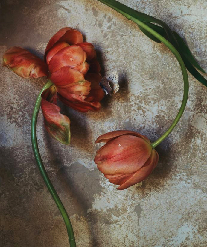 Reich ist man, wenn man etwas hat,  
das mehr wert ist als materielle Dinge.  

- Ingeborg Bachmann -