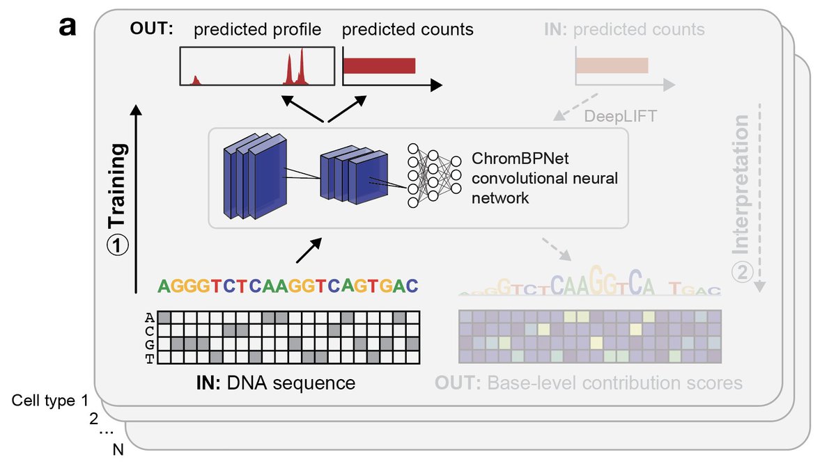 Betty Liu tweet media