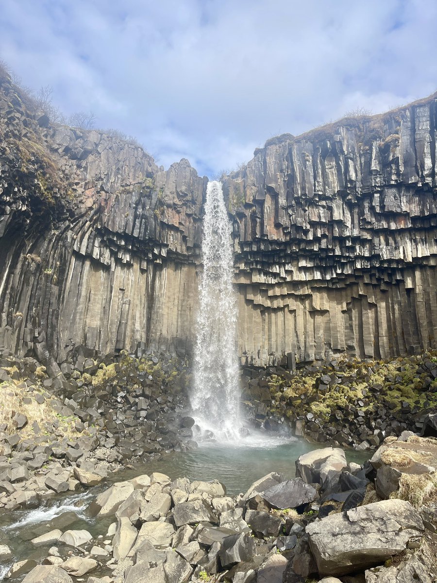 charukesi tweet media