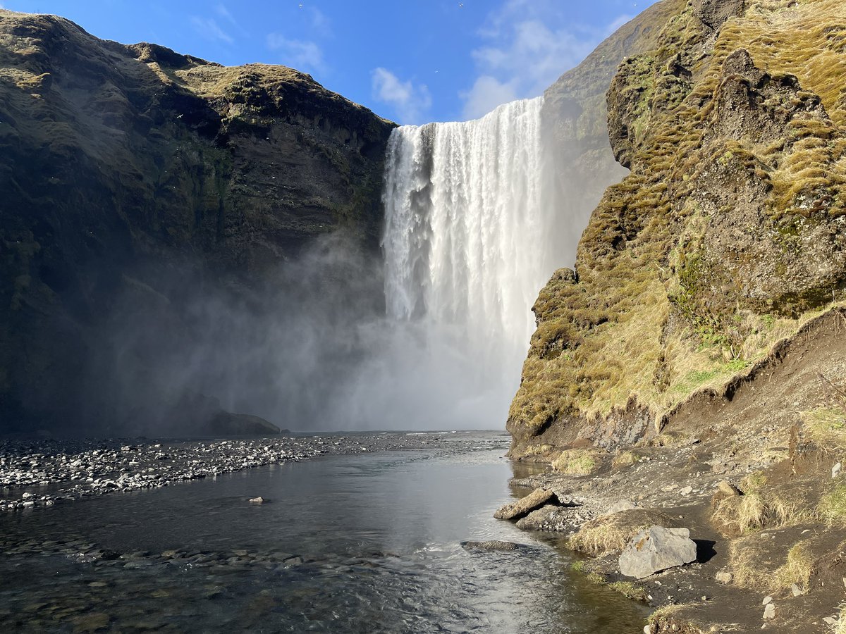 charukesi tweet media