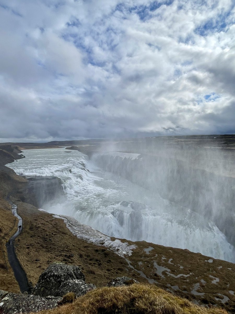 charukesi tweet media