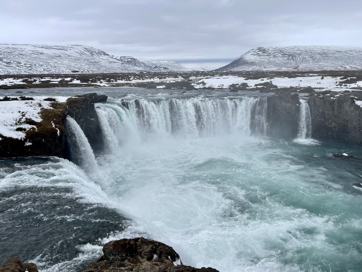 charukesi tweet media