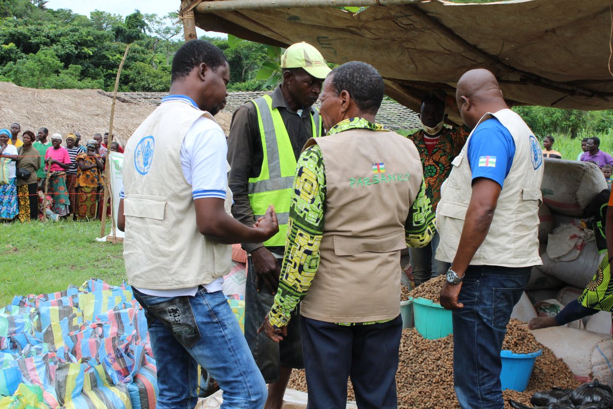FAOCentrafrique's tweet photo. @FAOCentrafrique ce jour aux côtés de l’équipe du Projet #PARSANKO #WWH et #ACDA lors de la foire aux semences au village Mabo, #Sibut 🇨🇫. Une assistance technique fournie à l’équipe projet et ses partenaires pour la réussite de cette foire. #SécuritéAlimentaire en Centrafrique. https://t.co/S5ZixL2VxX