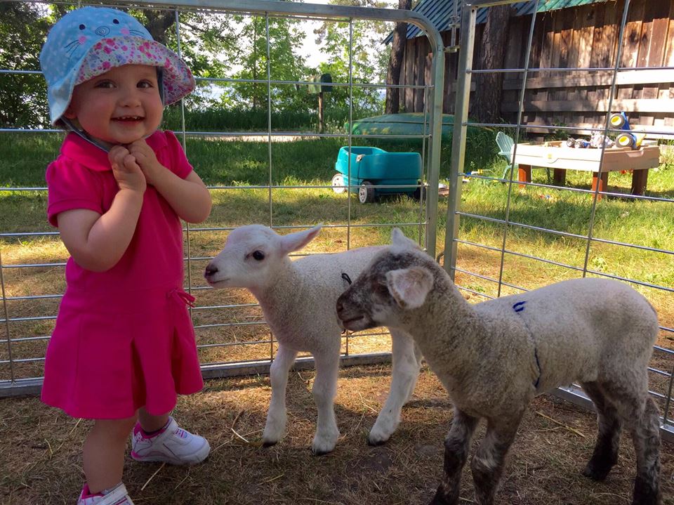 Topsy Farms tweet media