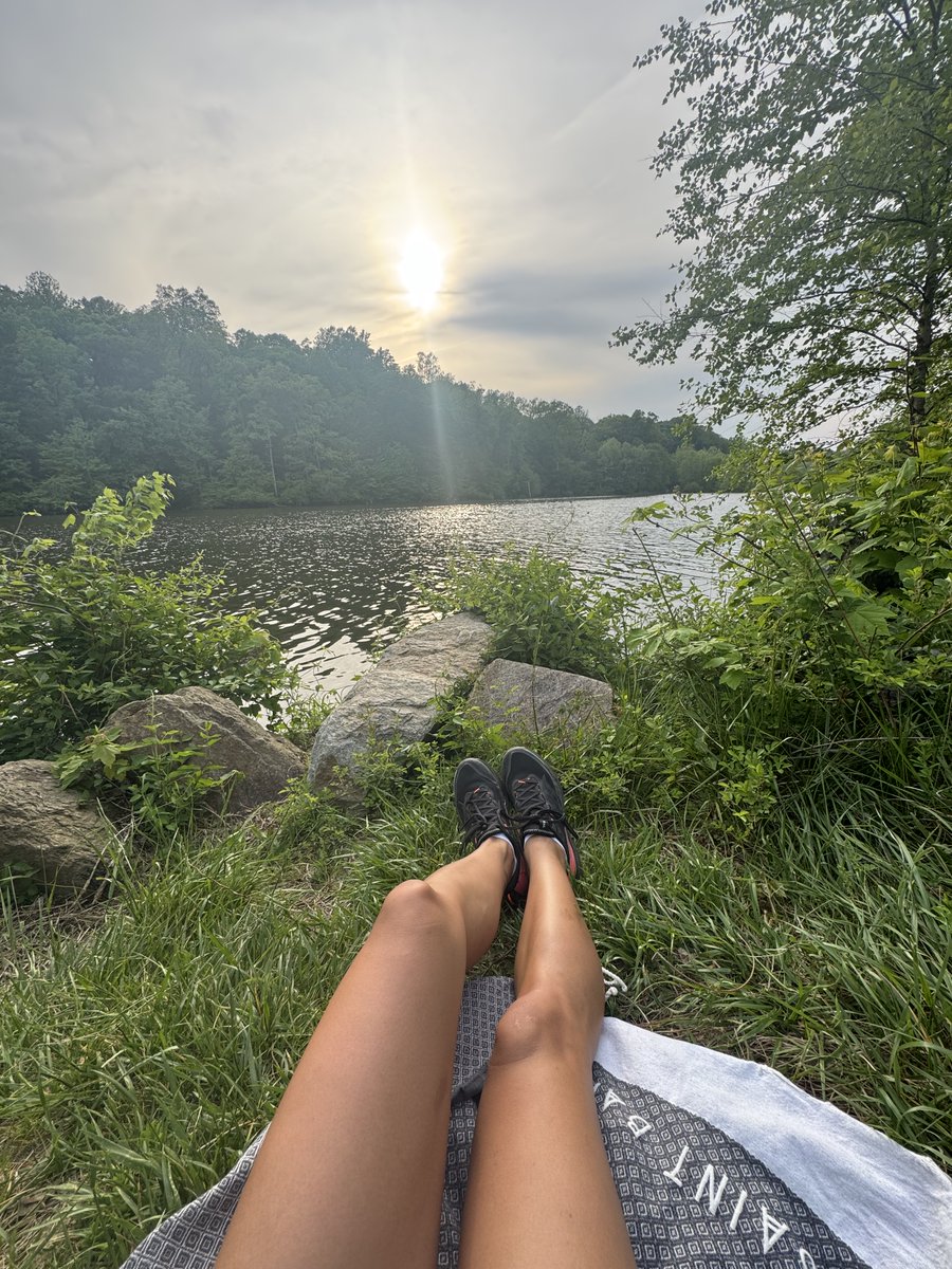 Leyla Amar DC tweet media