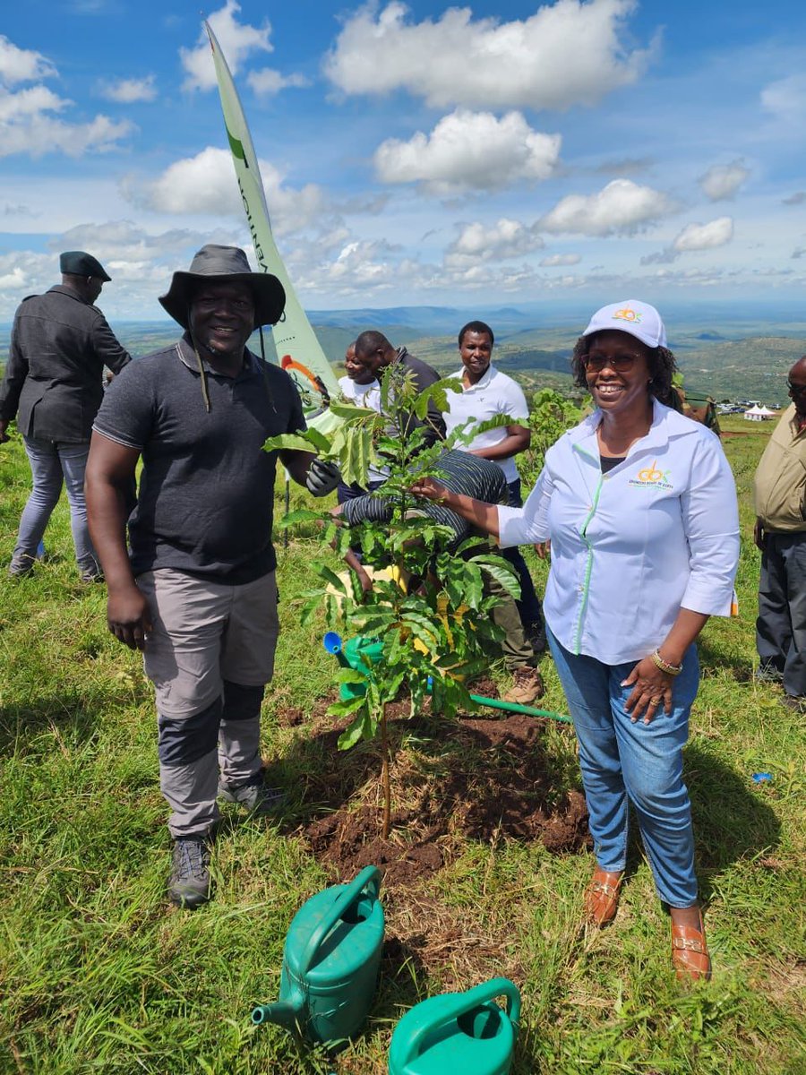 AAK Engineers Chapter (@aak_engineers) on Twitter photo The Chapter is proud to have been represented by our Registrar, Eng.<a href="/otienogallo/">Eng. John Robert Otieno Ogallo ,PE</a>, today at the successful tree planting exercise organised by <a href="/EngineersBoard/">Engineers Board of Kenya</a> at Ngong Hills. This was a great initiative by <a href="/EngineersBoard/">Engineers Board of Kenya</a> The Chapter is proud to have been represented by our Registrar, Eng.<a href="/otienogallo/">Eng. John Robert Otieno Ogallo ,PE</a>, today at the successful tree planting exercise organised by <a href="/EngineersBoard/">Engineers Board of Kenya</a> at Ngong Hills. This was a great initiative by <a href="/EngineersBoard/">Engineers Board of Kenya</a>