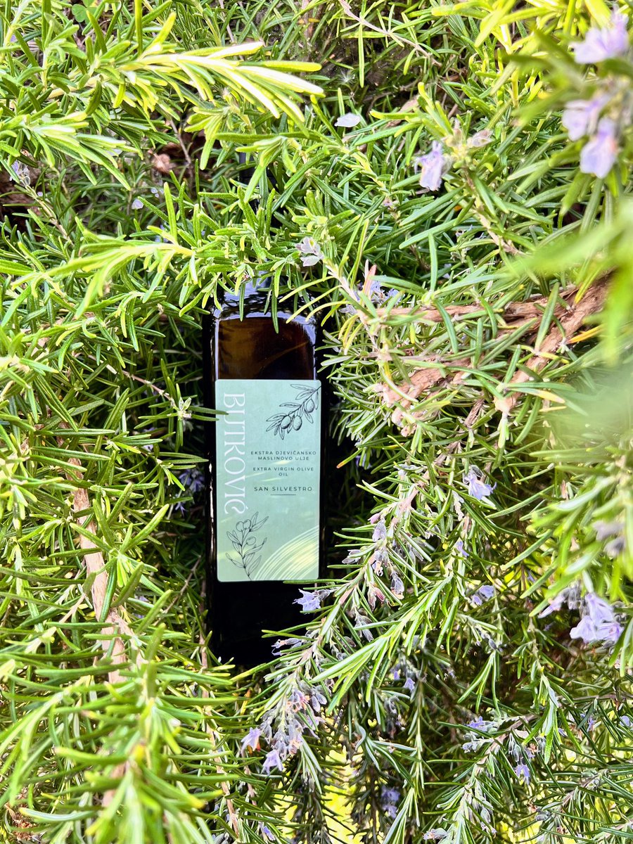 OlivetoButkovic's tweet photo. Priroda u boci – direktno iz srca Istre! 🌿🫒
Maslinovo ulje punog okusa i zlatnozelene boje 💛💚
Okusi Istru. Okusi Butković maslinovo ulje.✨
Naruči svoju bocu putem poruke ✉️ ili nas kontaktiraj i posjeti u Oprtlju s pogledom na Motovun 🏡⛰️. https://t.co/NerttURmfG
