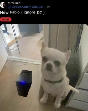 Eiersack (@eiersack727) on Twitter photo 